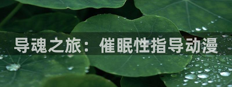 风车动漫在线观看免费下载：导魂之旅：催眠性指导动漫