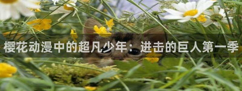 风车动漫动漫啦