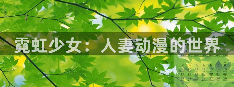 风车动漫免费观看在线