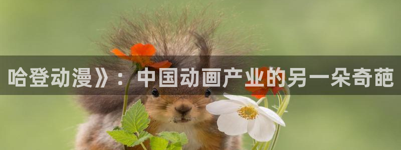 新风车动漫在线高清免费观看：哈登动漫》：中国动画产业的另一朵奇葩