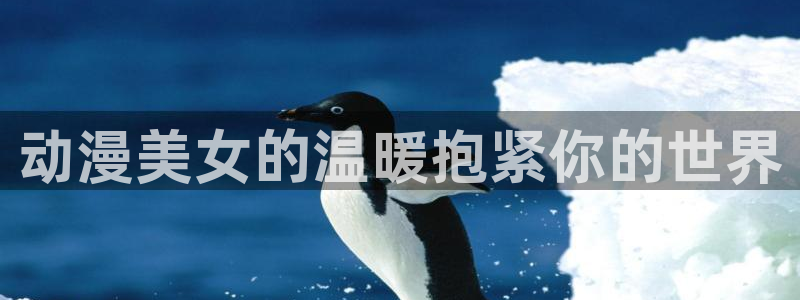 风车动漫网下载：动漫美女的温暖抱紧你的世界