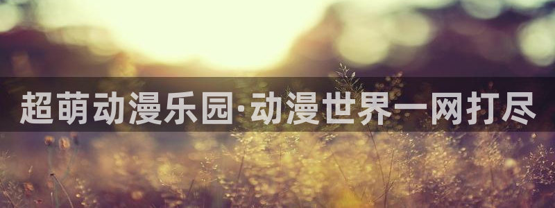 风车动漫 手机：超萌动漫乐园·动漫世界一网打尽