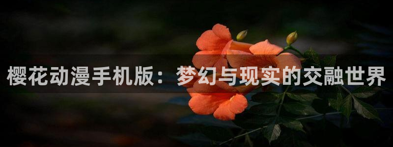 风车动漫_专注动漫的更新时间：樱花动漫手机版：梦幻与现实的交融世界