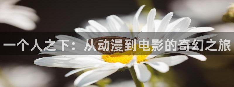风车动漫笔趣阁：一个人之下：从动漫到电影的奇幻之旅