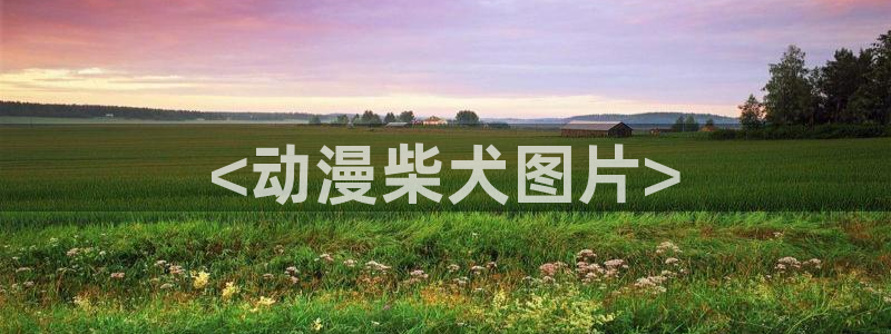 风车动漫正版免费观看视频网