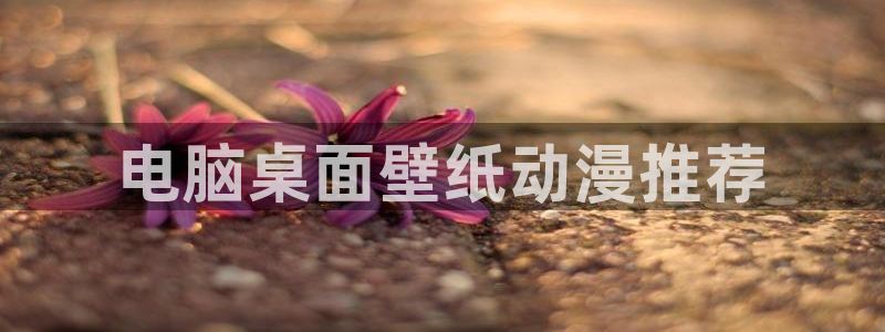 风车动漫在线免费入口