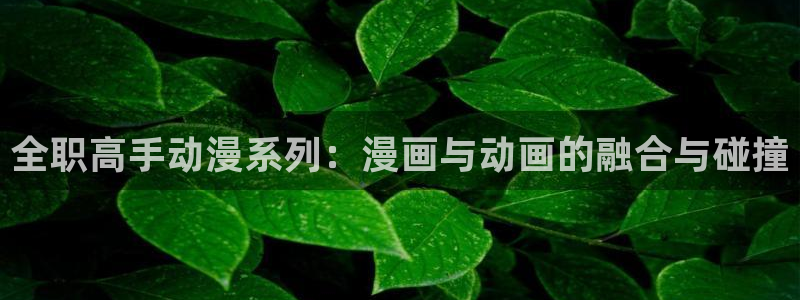 风车动漫怎么下载