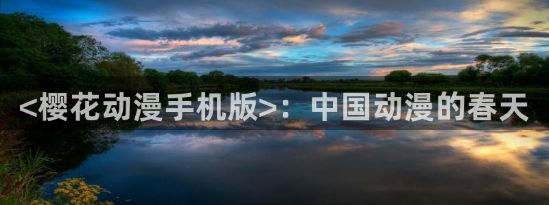 风车动漫7：<樱花动漫手机版>：中国动漫的春天