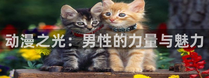 风车动漫–专注动漫：动漫之光：男性的力量与魅力
