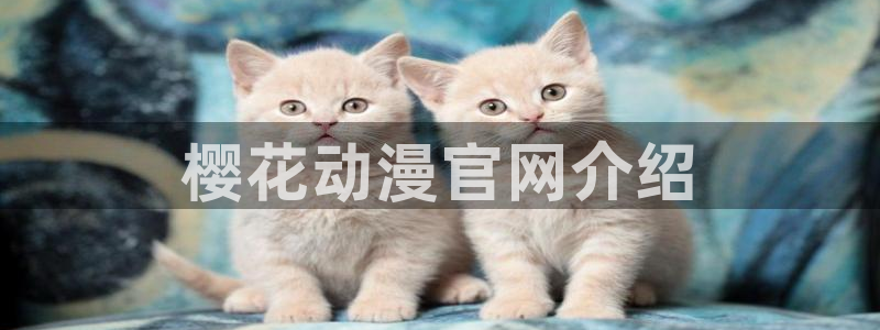 风车动漫官网在线看：樱花动漫官网介绍