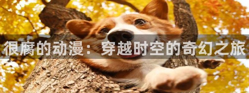 命运之夜新章风车动漫：很腐的动漫：穿越时空的奇幻之旅
