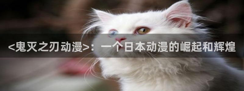 风车动漫 - 专注动漫的门户：<鬼灭之刃动漫>：一个日本动漫的崛起和辉煌