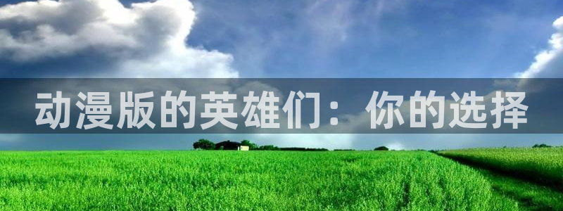 风车动漫网2025：动漫版的英雄们：你的选择